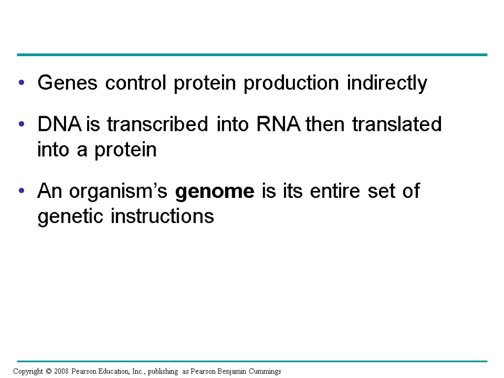 Genes control protein production indirectly DNA is transcribed into RNA then translated into a